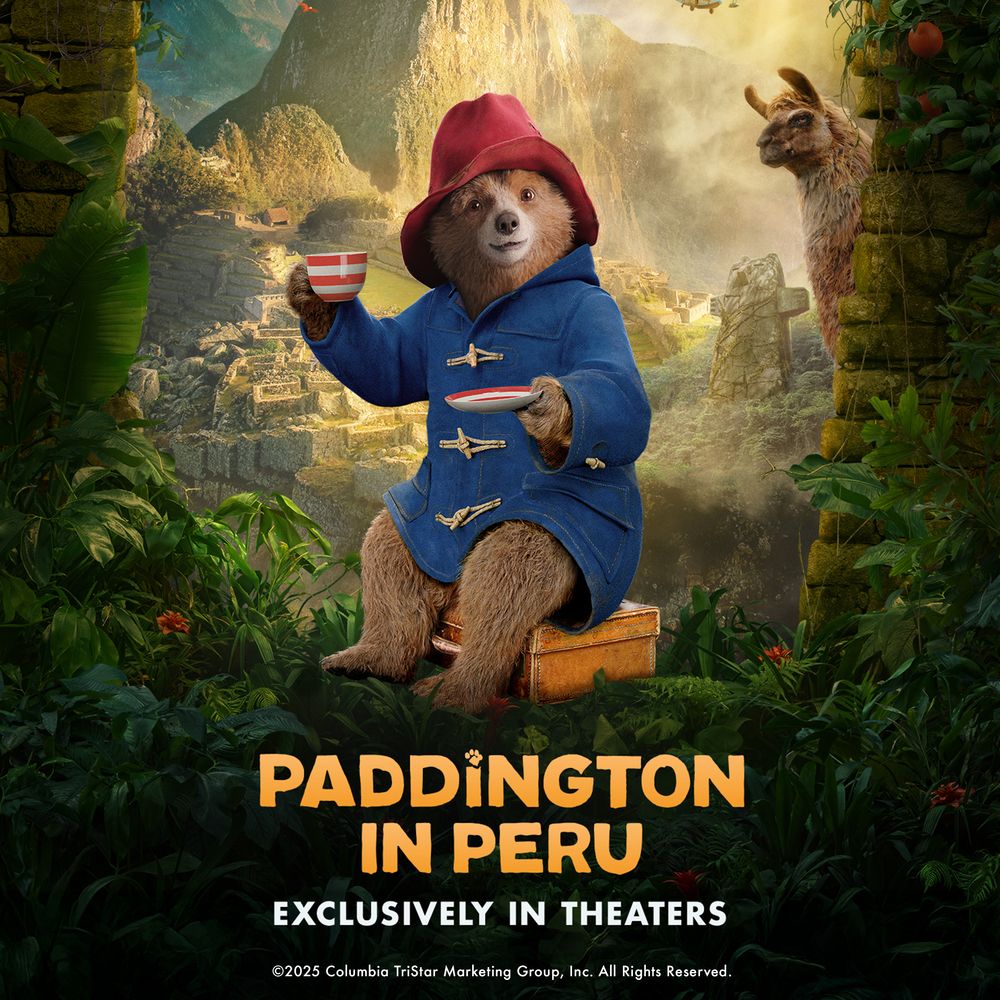 View 5 of Paddington in Peru Orange Hibiscus Delight Herbal Tea Bags
