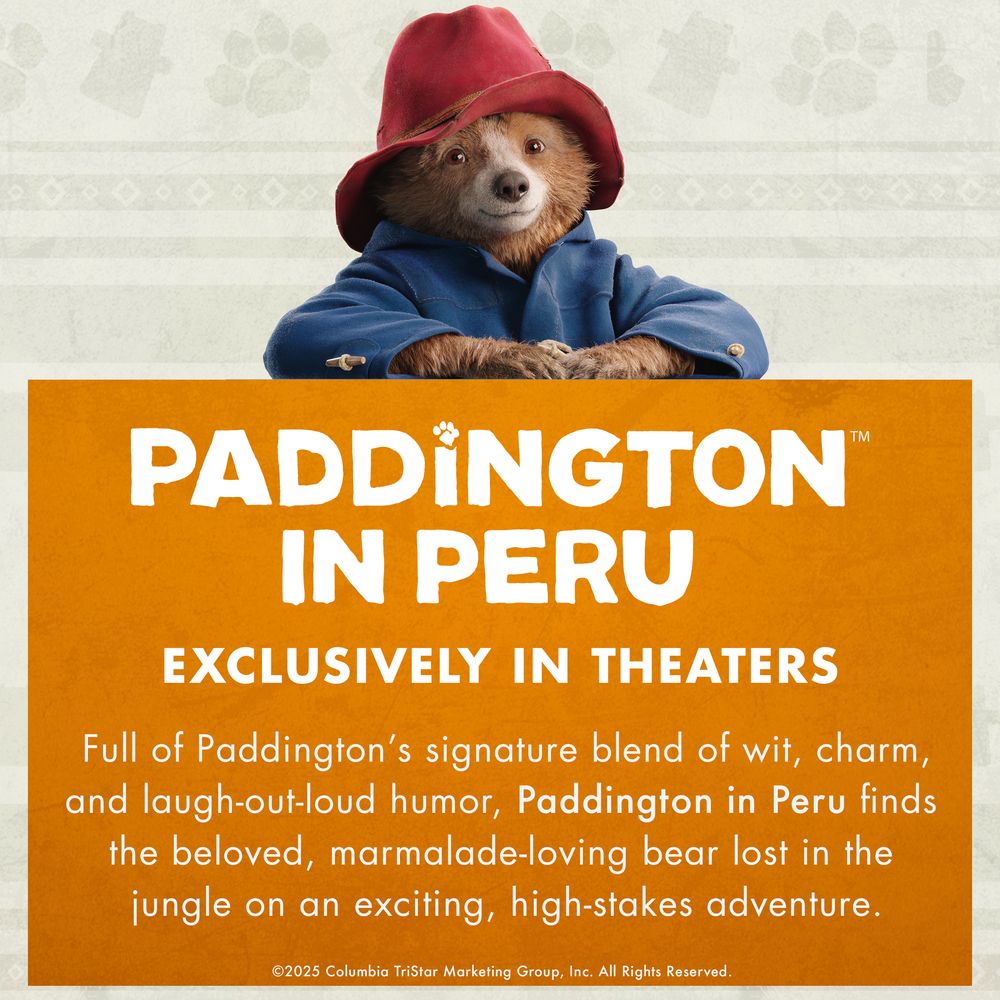 View 6 of Paddington in Peru Orange Marmalade Jam
