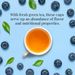 View 2 of Blueberry Green SuperFruit Tea Bags