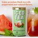 View 2 of Watermelon Mint Black Iced Tea Pouches