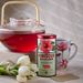 View 4 of Watermelon Hibiscus Tea Bags