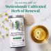 View 3 of Organic Egyptian Chamomile SuperHerb® Herbs Of Origin Tea Bags