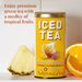 View 3 of Pineapple Orange Guava Green Tea Large Iced Tea Pouches