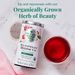 View 2 of Organic Hibiscus Tea Bags