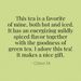 View 4 of green tea for weight loss