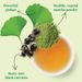 View 4 of Organic Brain Boost SuperGreen Tea Bags