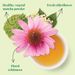 View 2 of Organic Immunity SuperGreen Tea Bags