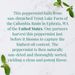 View 4 of Organic American Peppermint SuperHerb® Herbs Of Origin Herbal Tea Bags