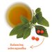View 2 of SuperAdapt Clarity and Calm Organic Ashwagandha Tea