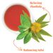 View 2 of adaptogenic tea for stress