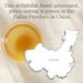 View 3 of Double Milk Oolong® Tea Bags