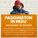 View 6 of Paddington in Peru Orange Hibiscus Delight Herbal Tea Bags
