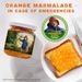 View 2 of Paddington in Peru Orange Marmalade Jam
