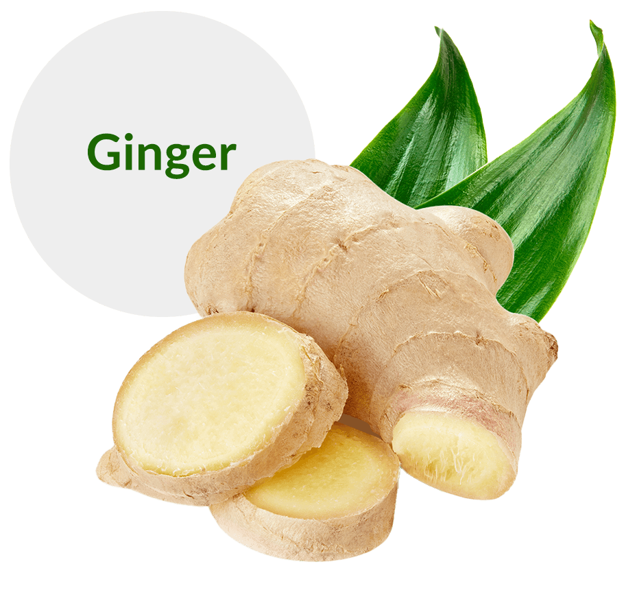 ginger